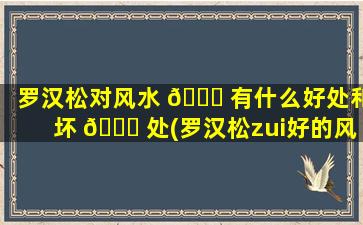 罗汉松对风水 🐒 有什么好处和坏 🕊 处(罗汉松zui
好的风水位置)